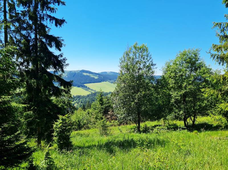 Sale Cottage, Cottage, Čadca, Slovakia