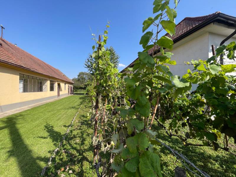 Sale Family house, Family house, Malinovská, Senec, Slovakia