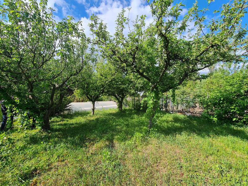 Sale Family house, Family house, Slovenská, Malacky, Slovakia