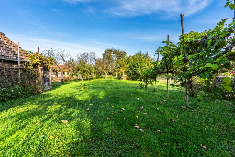 Sale Family house, Family house, Malinovská, Senec, Slovakia