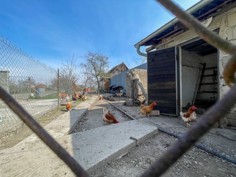 Sale Land – for living, Land – for living, Dunajská Streda, Slovakia