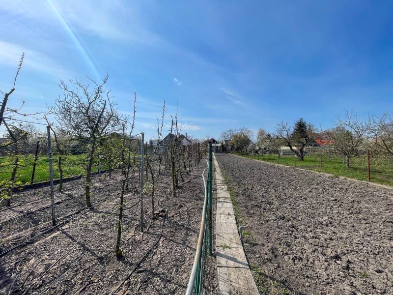 Sale Land – for living, Land – for living, Dunajská Streda, Slovakia