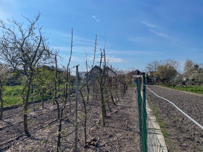 Sale Land – for living, Land – for living, Dunajská Streda, Slovakia
