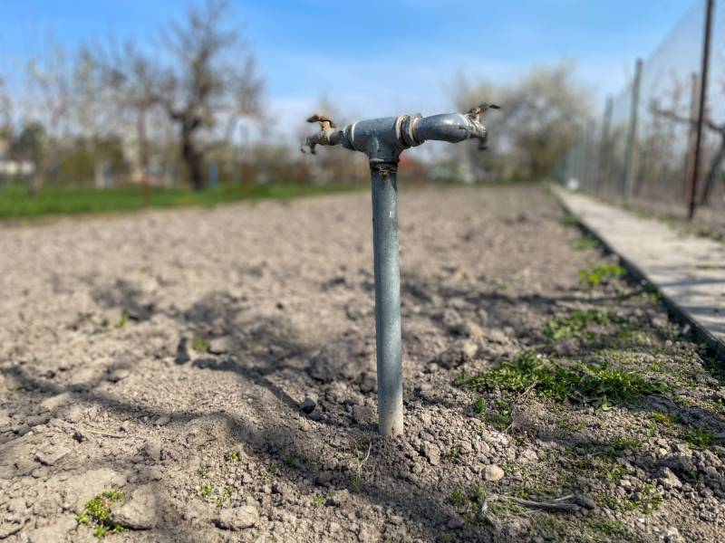 Sale Land – for living, Land – for living, Dunajská Streda, Slovakia