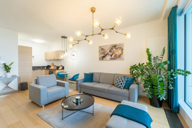 Sublease One bedroom apartment, One bedroom apartment, Landererova, Br