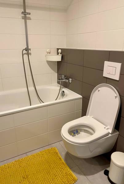 Rent One bedroom apartment, One bedroom apartment, Hraničná, Bratislav