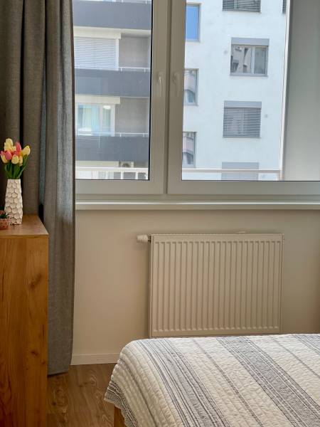Rent One bedroom apartment, One bedroom apartment, Hraničná, Bratislav