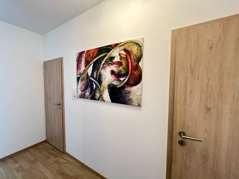 Rent One bedroom apartment, One bedroom apartment, Zuzany Chalupovej, 