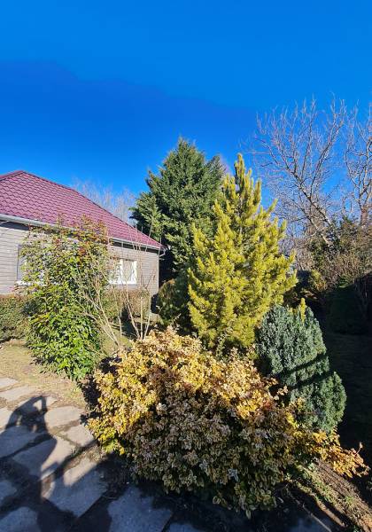 Sale Family house, Family house, Kolónia, Dunajská Streda, Slovakia