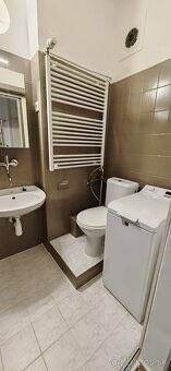Rent One bedroom apartment, One bedroom apartment, Pekná cesta, Bratis