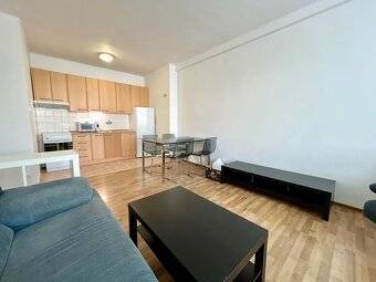 Rent One bedroom apartment, One bedroom apartment, Pekná cesta, Bratis