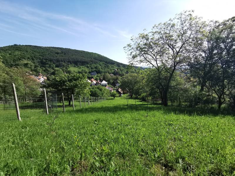 Sale Family house, Family house, Nirtrianske Sučany, Prievidza, Slovak