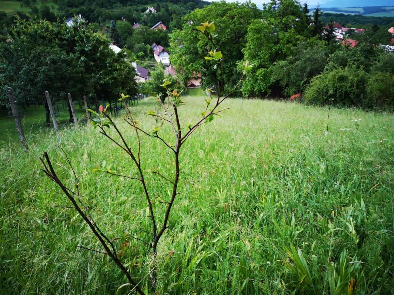 Sale Family house, Family house, Nirtrianske Sučany, Prievidza, Slovak