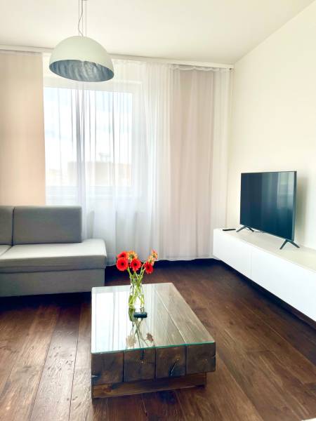 Rent One bedroom apartment, One bedroom apartment, Vlárska, Bratislava
