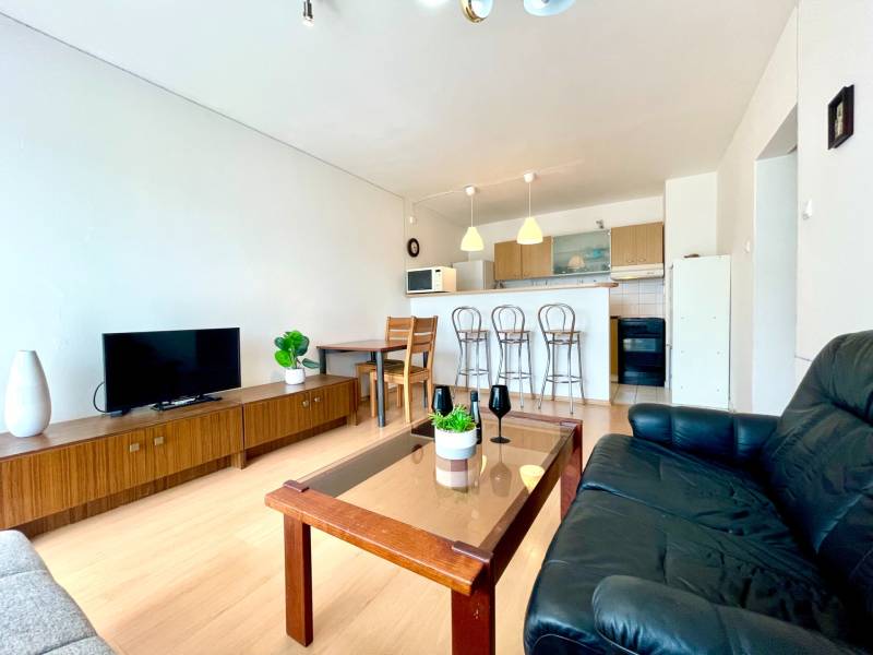 Rent One bedroom apartment, One bedroom apartment, Zadunajska cesta, B