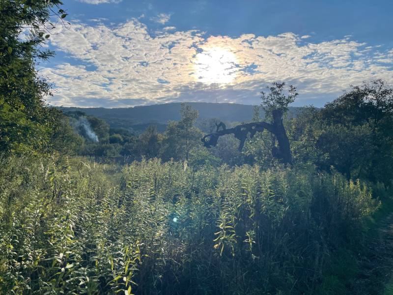 Sale Gardens, Gardens, Bratislava - Dúbravka, Slovakia