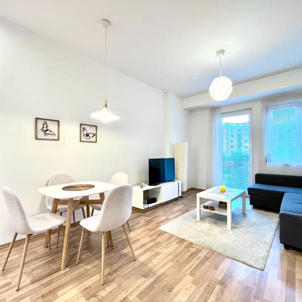 Rent One bedroom apartment, One bedroom apartment, Šancová, Bratislava