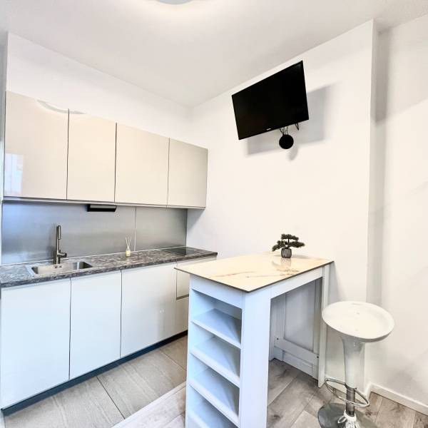 Rent Single studio, Single studio, Grösslingova, Bratislava - Staré Me