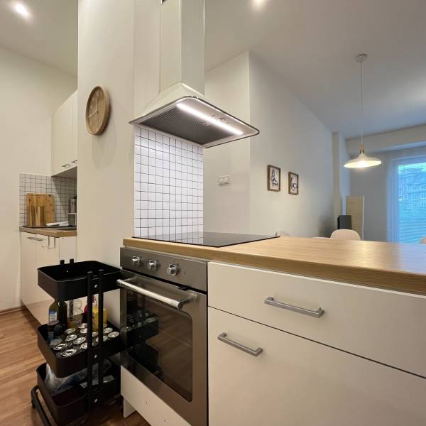 Rent One bedroom apartment, One bedroom apartment, Šancová, Bratislava
