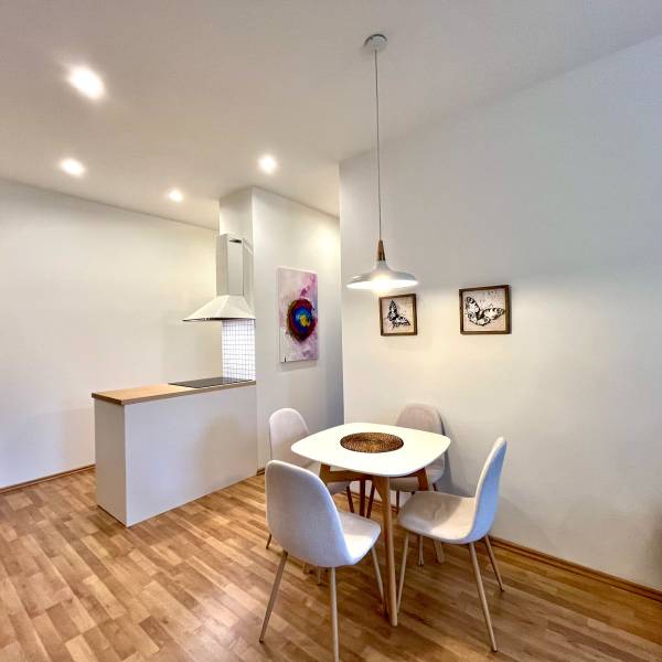 Rent One bedroom apartment, One bedroom apartment, Šancová, Bratislava