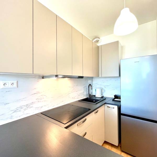 Rent One bedroom apartment, One bedroom apartment, Labutia, Bratislava