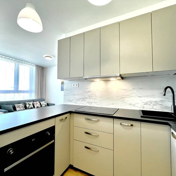 Rent One bedroom apartment, One bedroom apartment, Labutia, Bratislava