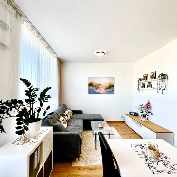 Rent One bedroom apartment, One bedroom apartment, Labutia, Bratislava