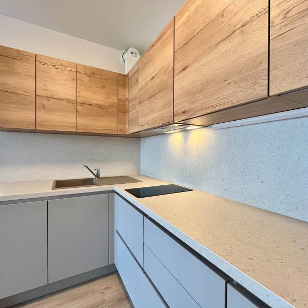 Rent One bedroom apartment, One bedroom apartment, Jána Langoša, Brati