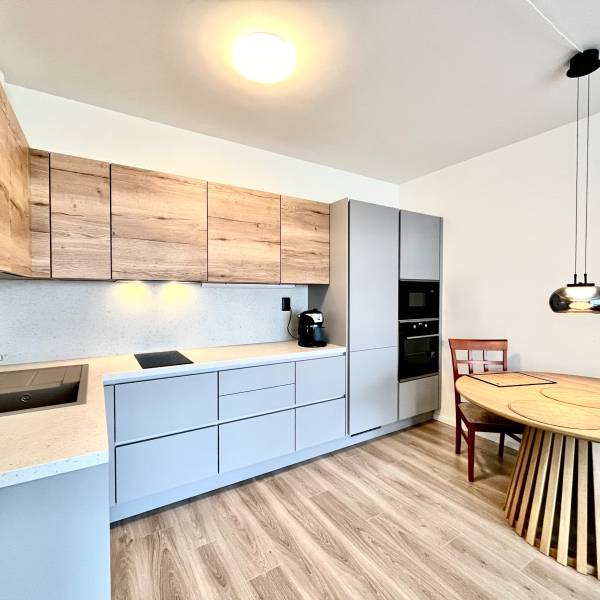 Rent One bedroom apartment, One bedroom apartment, Jána Langoša, Brati