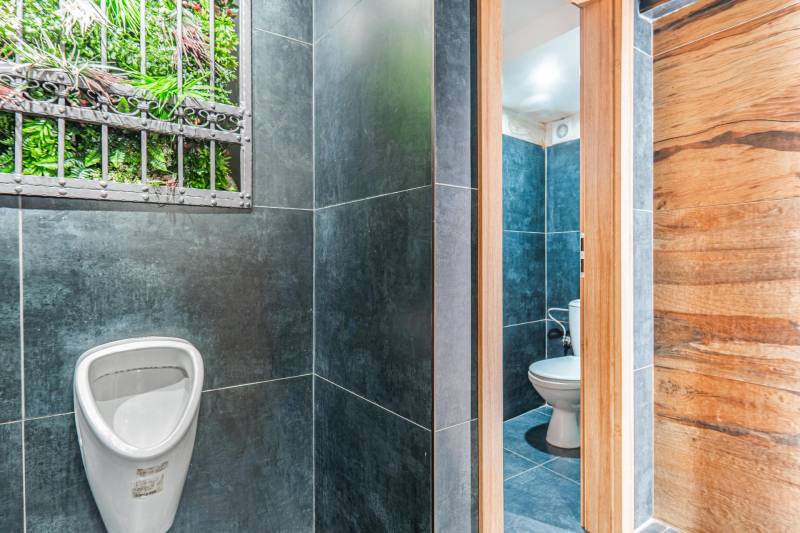 Sale Hotels and pensions, Hotels and pensions, Hollého, Skalica, Slova