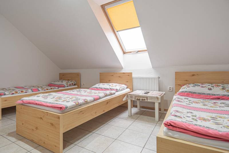 Sale Hotels and pensions, Hotels and pensions, Hollého, Skalica, Slova