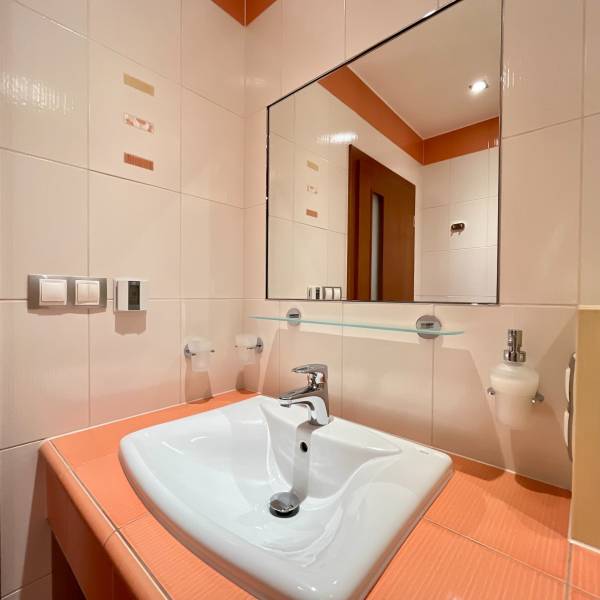 Rent One bedroom apartment, One bedroom apartment, Teplická, Bratislav