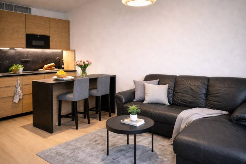 Rent One bedroom apartment, One bedroom apartment, Bottova, Bratislava