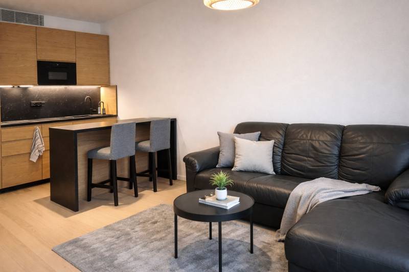 Rent One bedroom apartment, One bedroom apartment, Bottova, Bratislava