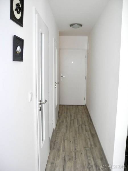 Rent One bedroom apartment, One bedroom apartment, Rustaveliho, Bratis