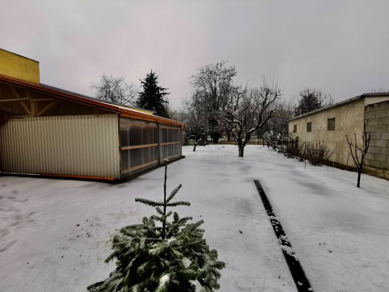 Rent One bedroom apartment, One bedroom apartment, Oriešková, Bratisla