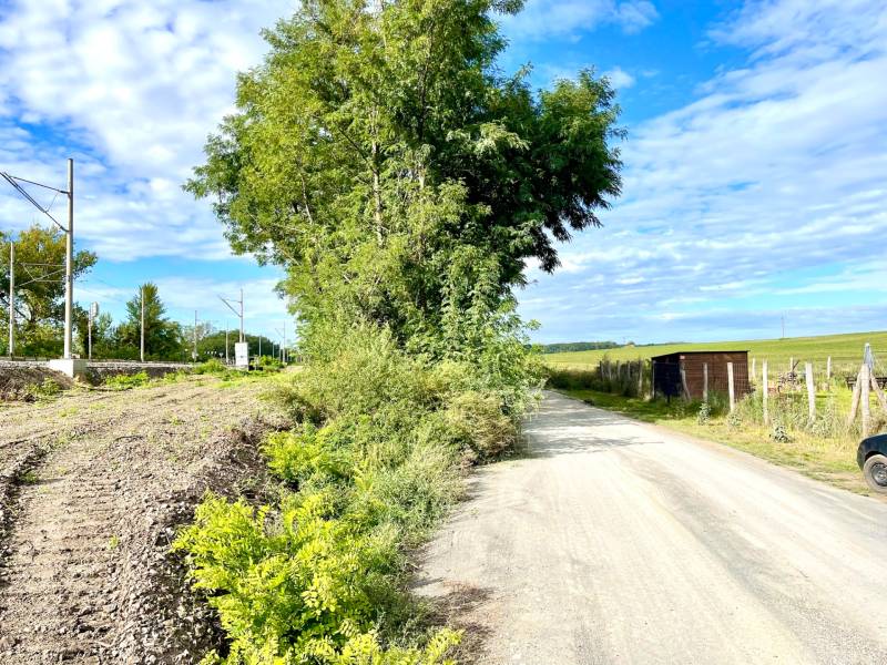 Sale Gardens, Gardens, Bratislava - Devínska Nová Ves, Slovakia