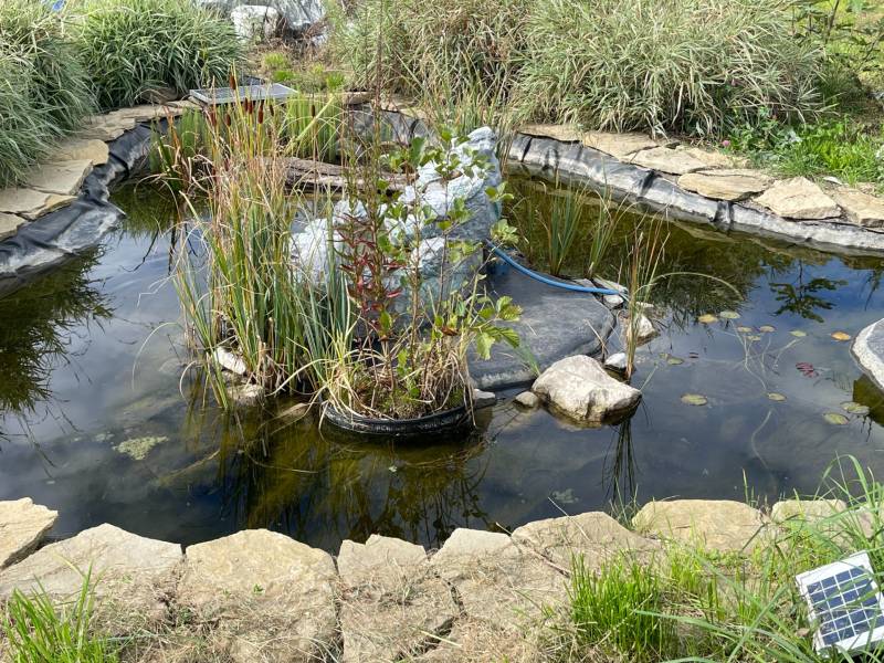 Sale Gardens, Gardens, Bratislava - Devínska Nová Ves, Slovakia