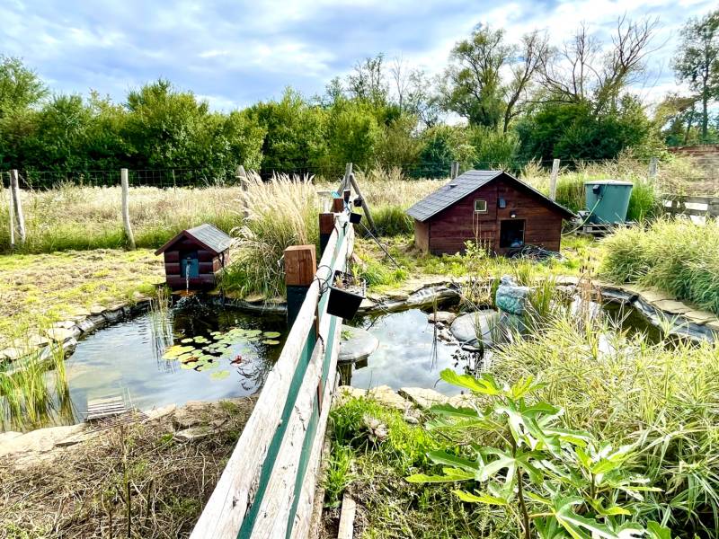 Sale Gardens, Gardens, Bratislava - Devínska Nová Ves, Slovakia