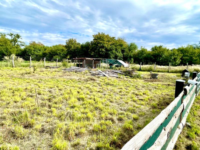 Sale Gardens, Gardens, Bratislava - Devínska Nová Ves, Slovakia