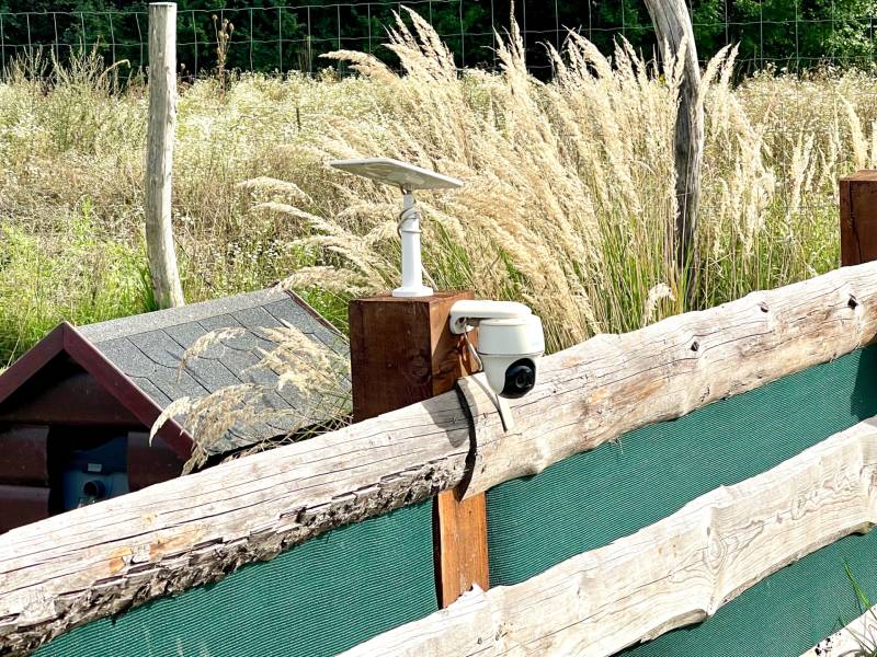 Sale Gardens, Gardens, Bratislava - Devínska Nová Ves, Slovakia