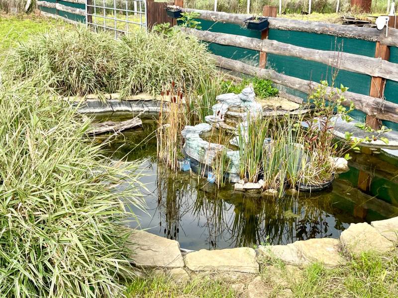 Sale Gardens, Gardens, Bratislava - Devínska Nová Ves, Slovakia