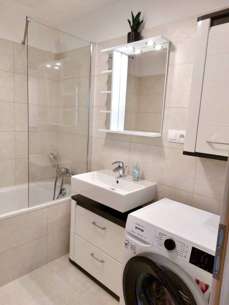 Rent One bedroom apartment, One bedroom apartment, Mlynské nivy, Brati