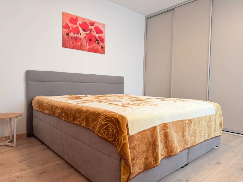 Rent One bedroom apartment, One bedroom apartment, Mlynské nivy, Brati