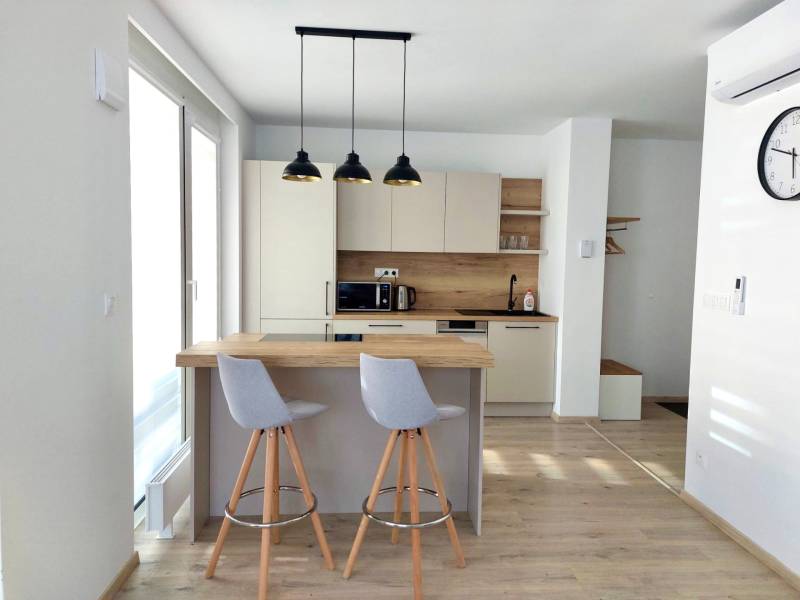 Rent One bedroom apartment, One bedroom apartment, Mlynské nivy, Brati
