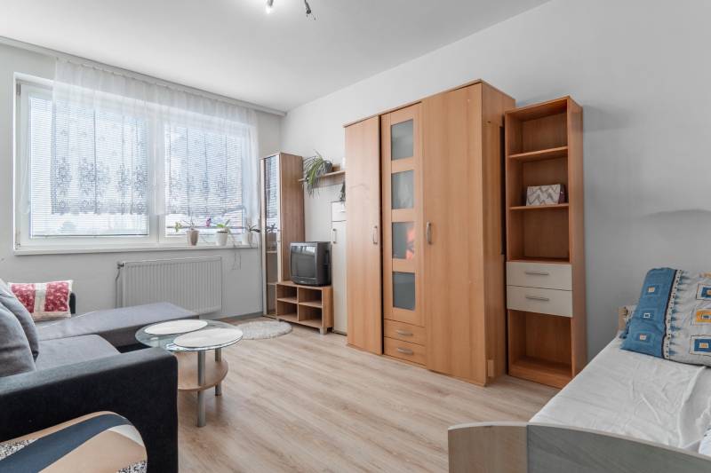 Charming 3-Room Apartment with Garden and Garage in Vajnory