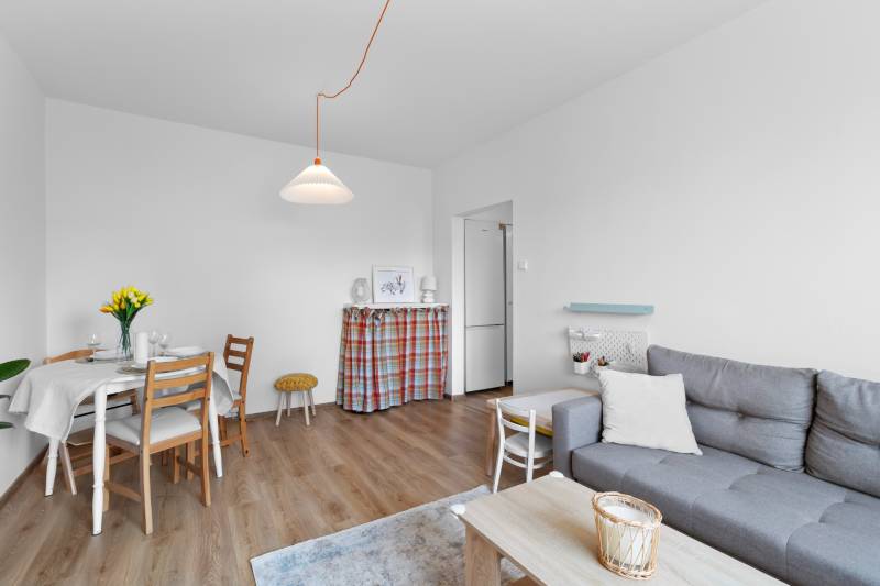 Sale One bedroom apartment, One bedroom apartment, Kpt. Jána Rašu, Bra