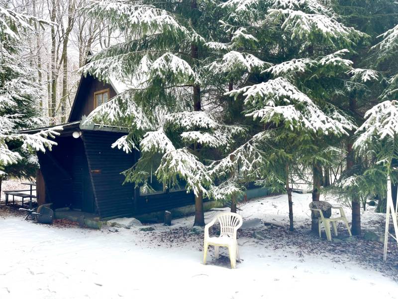 Sale Hotels and pensions, Hotels and pensions, Piesok, Pezinok, Slovak