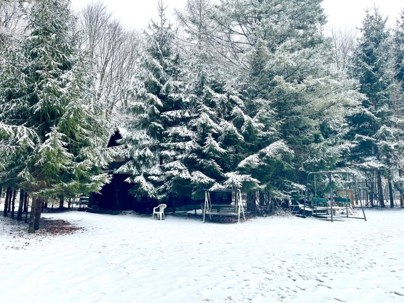 Sale Hotels and pensions, Hotels and pensions, Piesok, Pezinok, Slovak