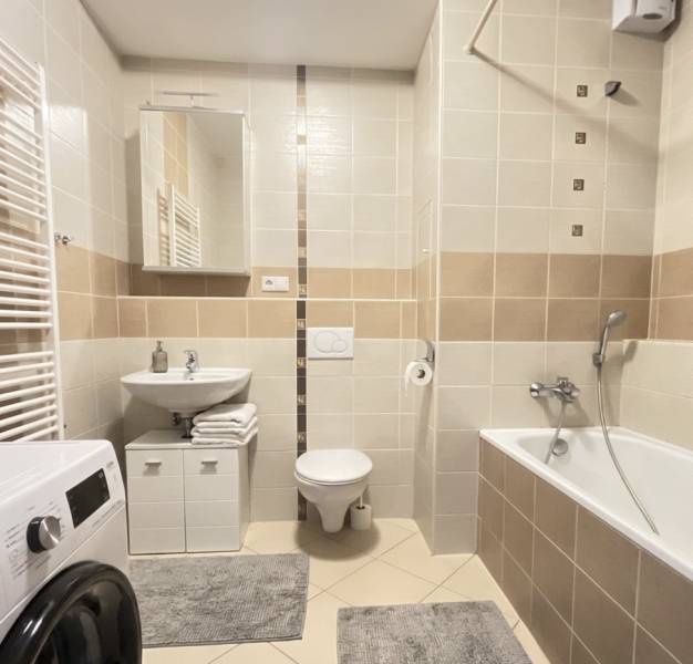 Rent One bedroom apartment, One bedroom apartment, Ružová dolina, Brat